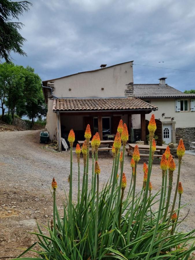 L'Oeil De Carcassonne Villa Caudebronde Bagian luar foto